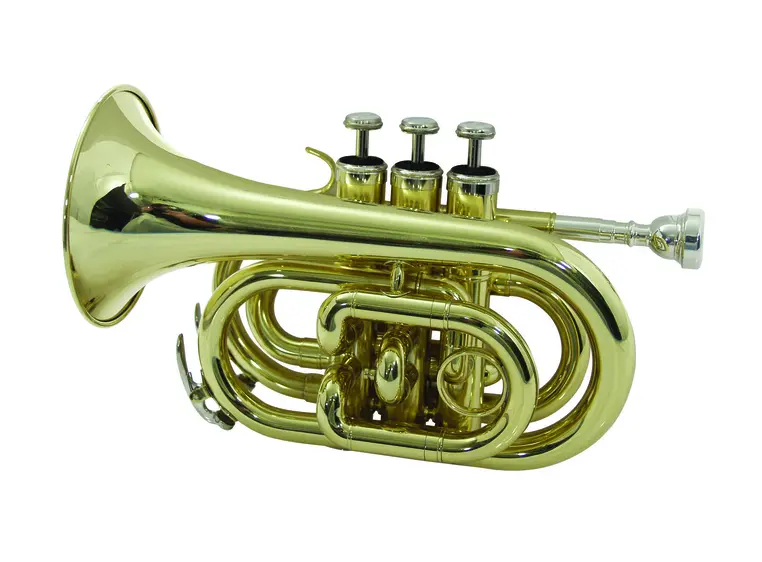 DIMAVERY TP-300 Bb Pocket Trumpet, gold 